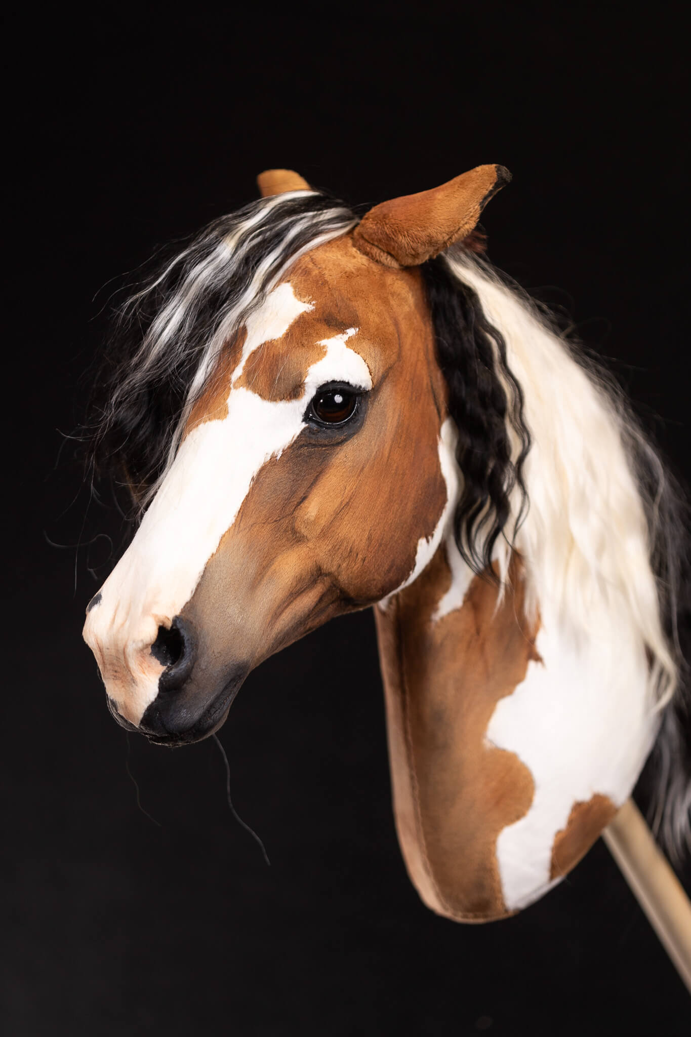 ART Picasso