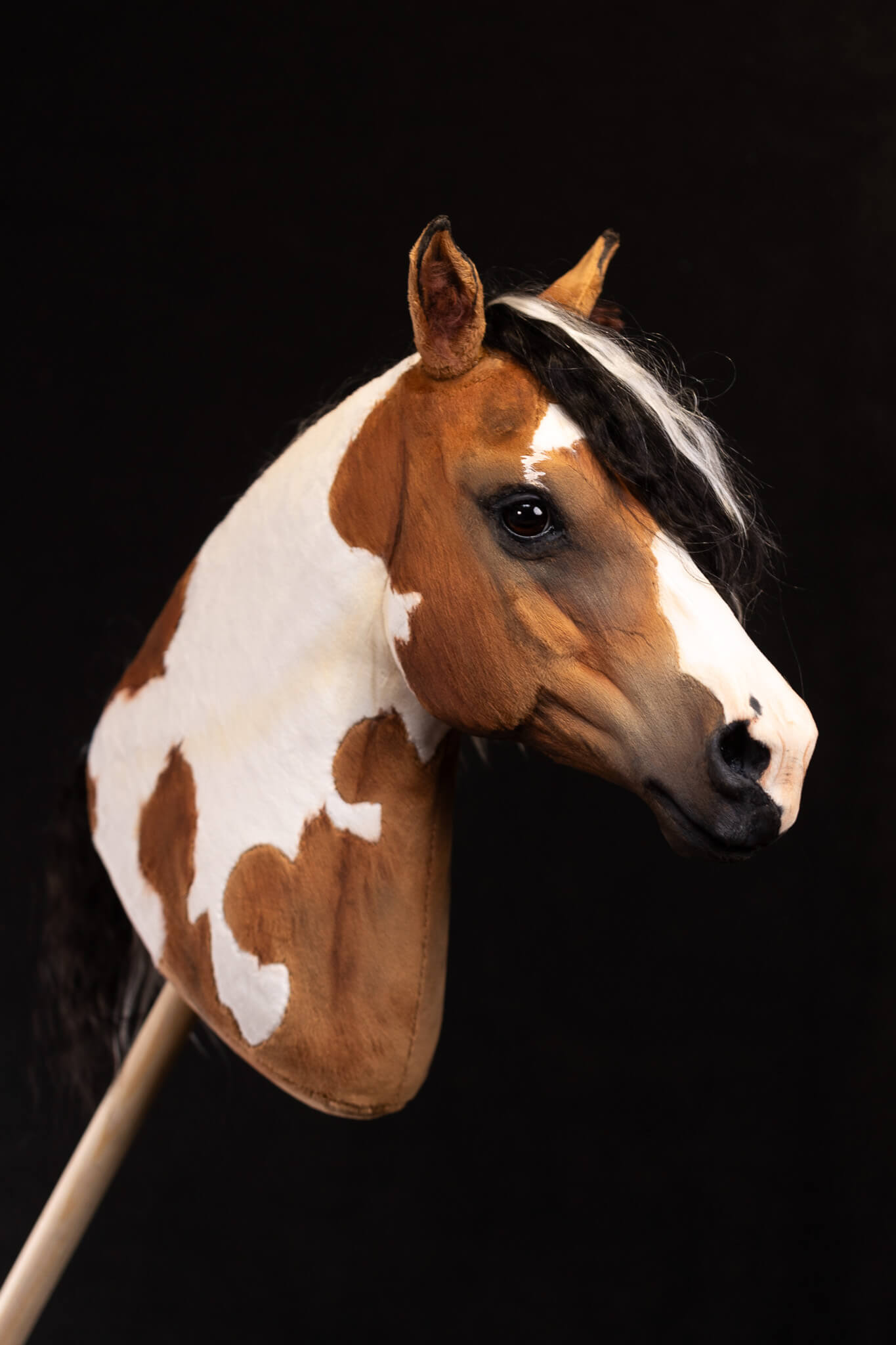 ART Picasso