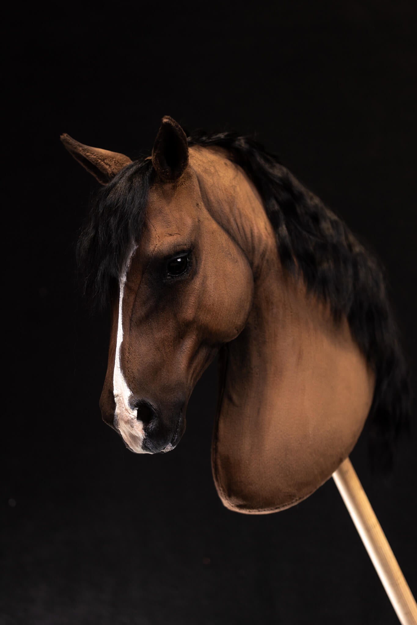 ART Valegro