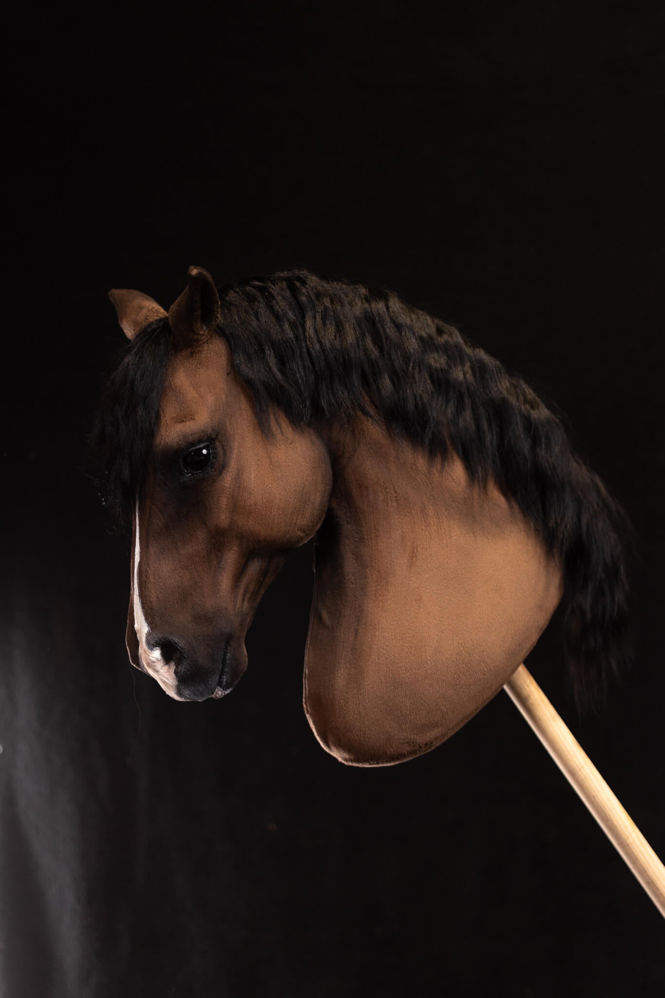 ART Valegro