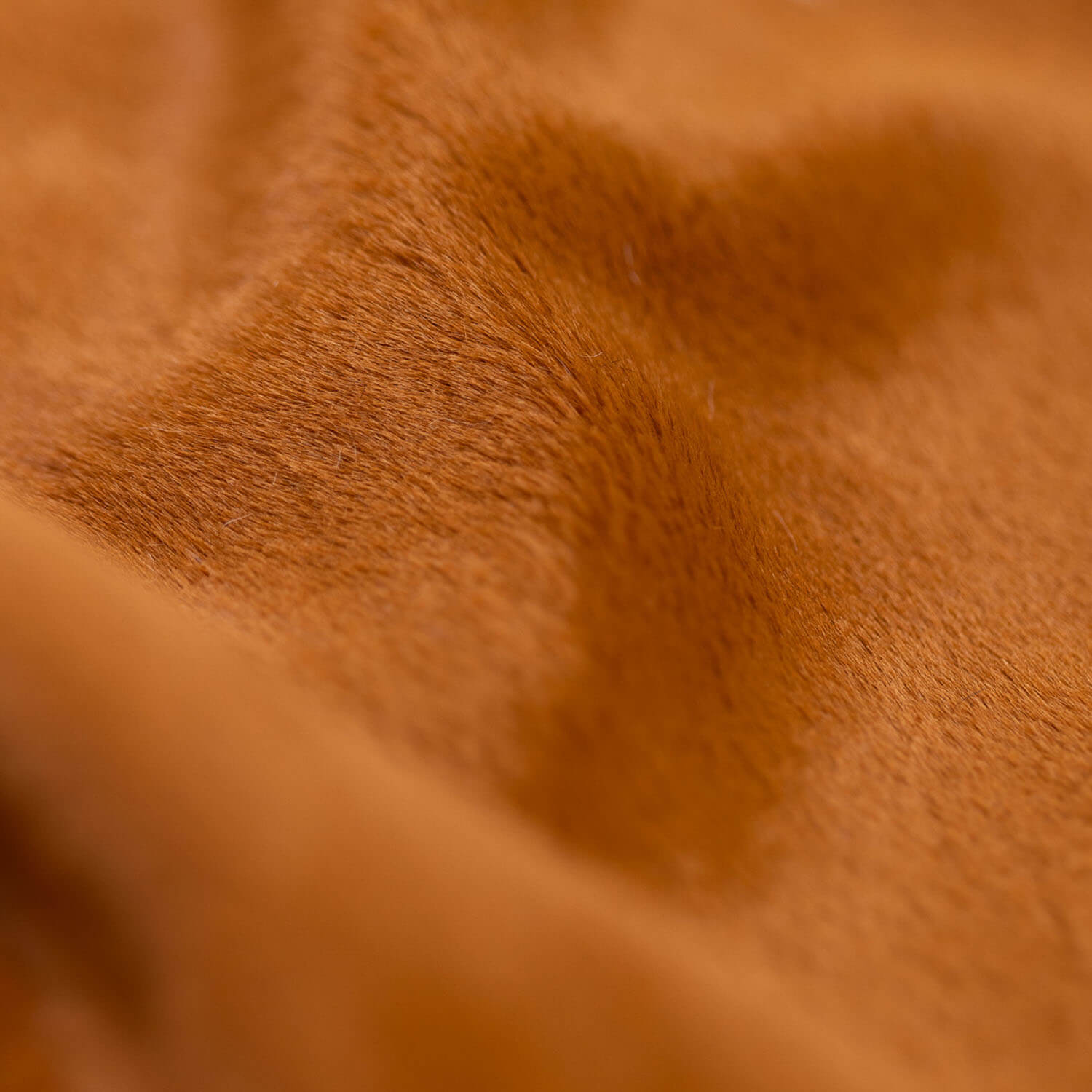 Caramel - SuperMinky