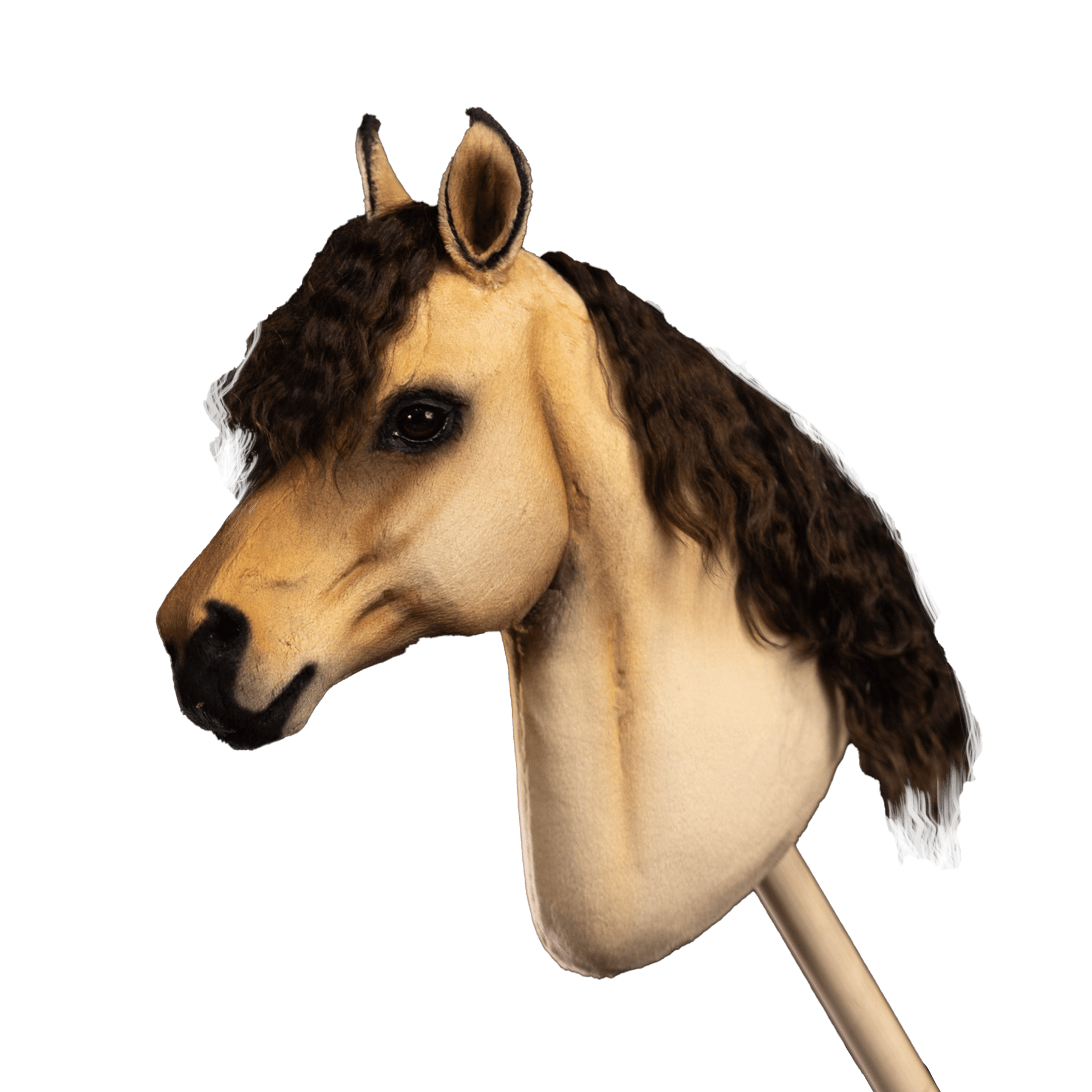Pony