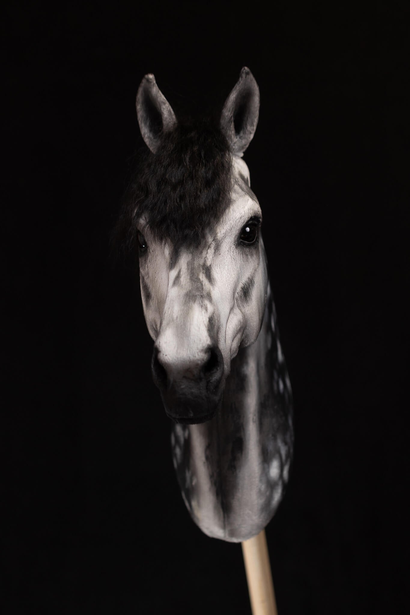 ART Palladium - Stellar Series