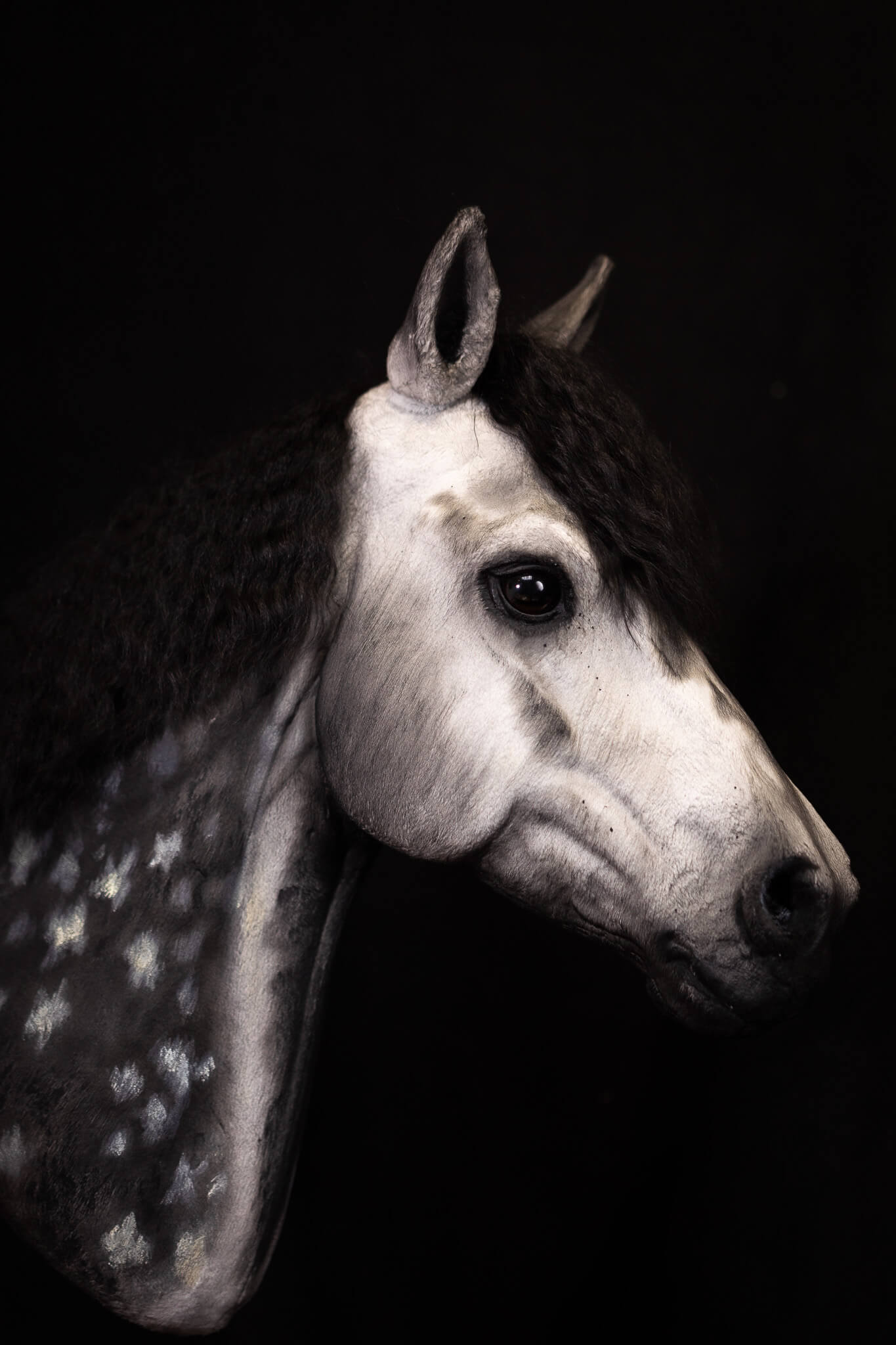 ART Palladium - Stellar Series