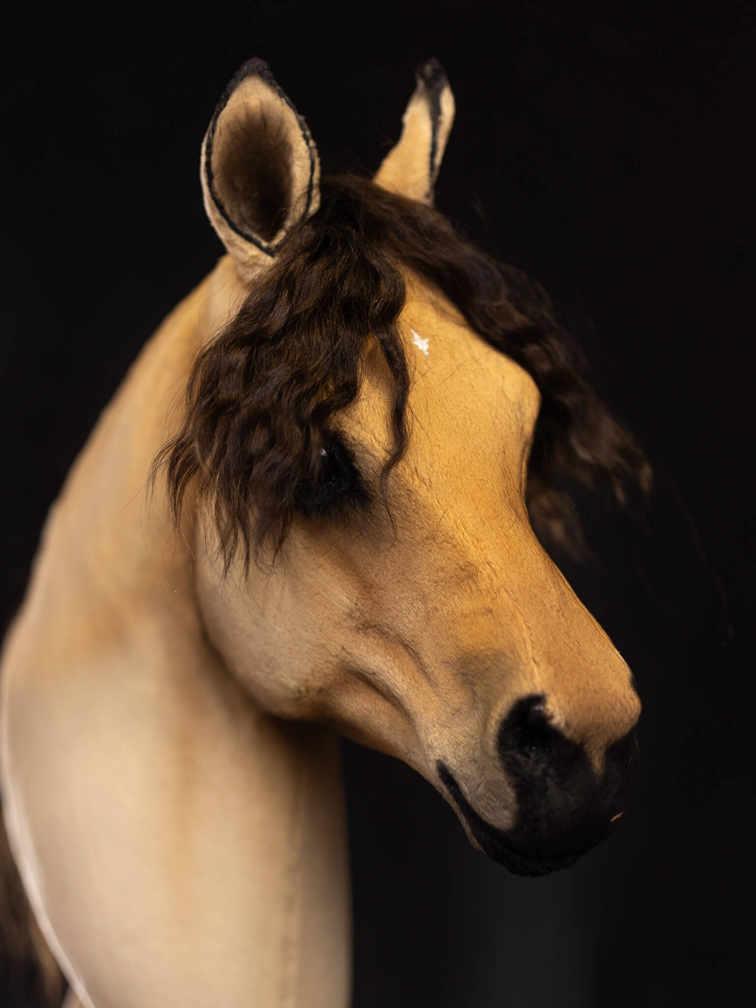 ART Lionel III