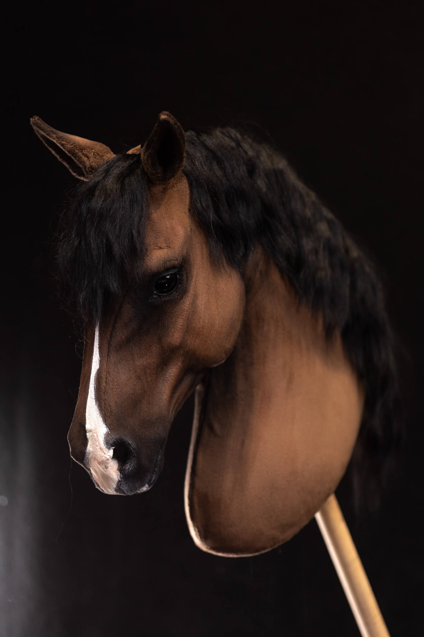ART Valegro