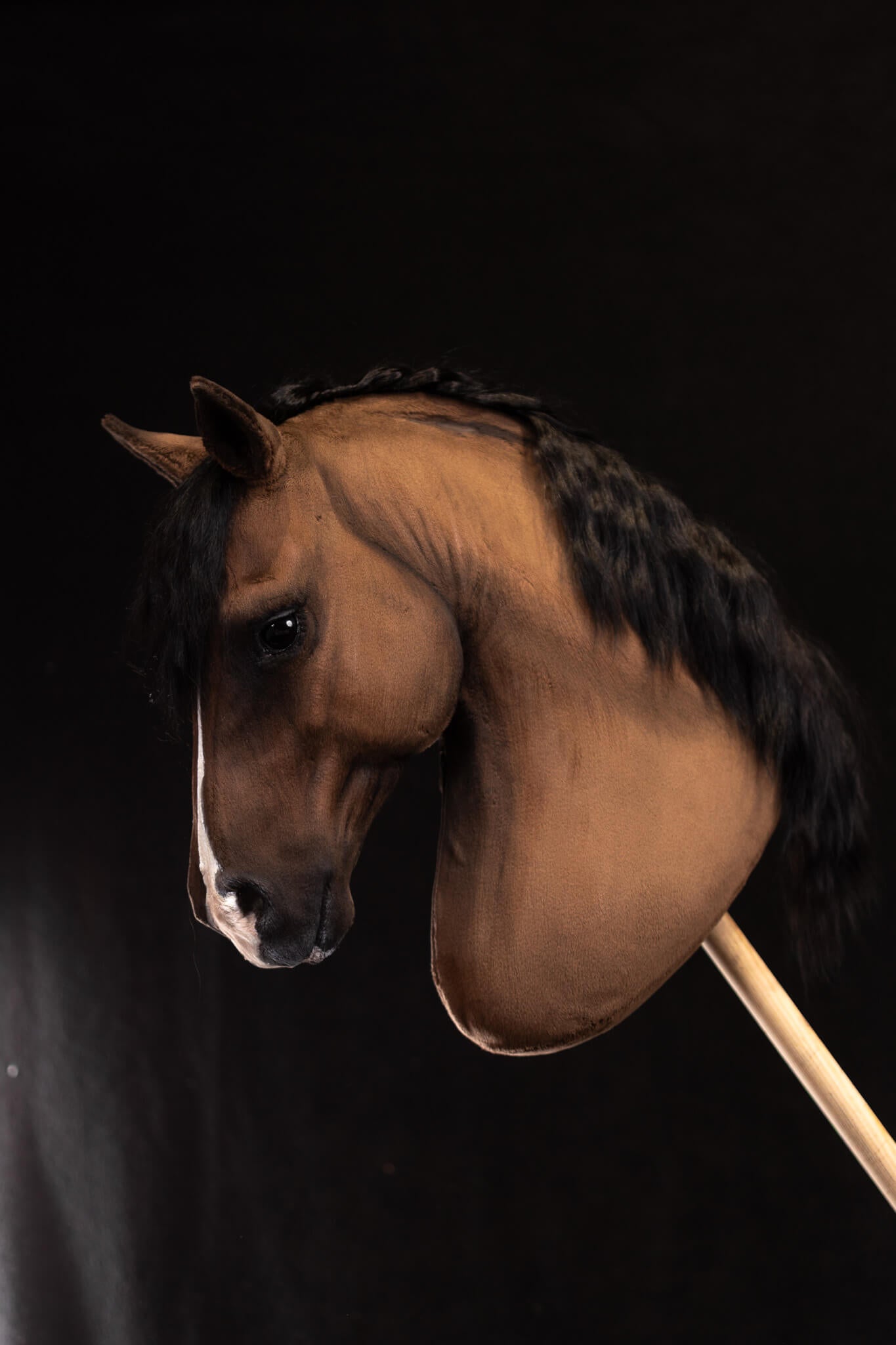 ART Valegro