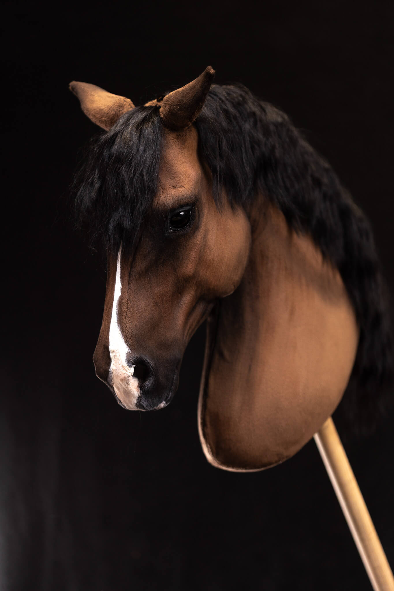 ART Valegro
