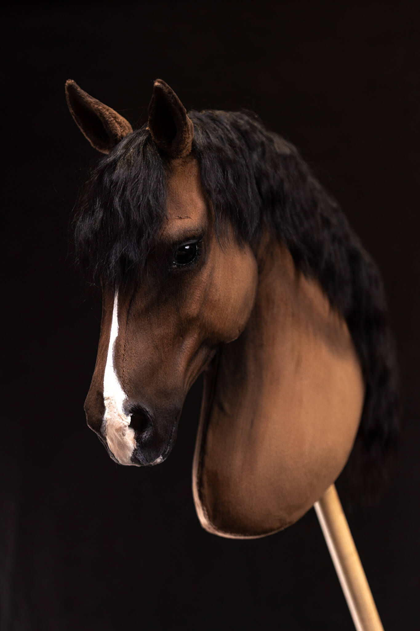 ART Valegro