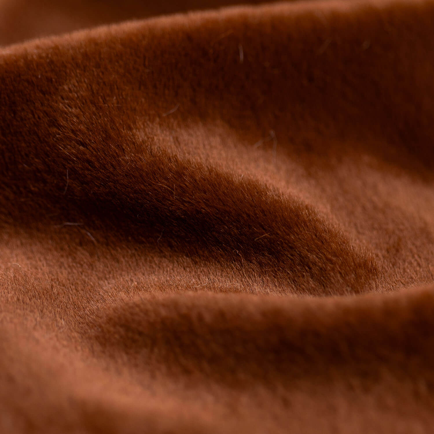 Chocolate - SuperMinky